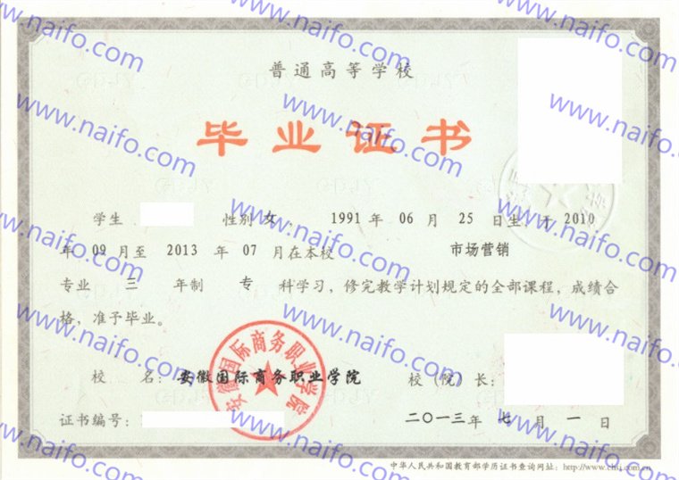 安徽国际商务职业学院2013年统招专科市场营销毕业证模板高清图  第2张